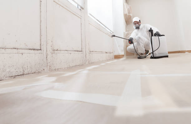 Mold Removal for HVAC Installations in First Mesa, AZ